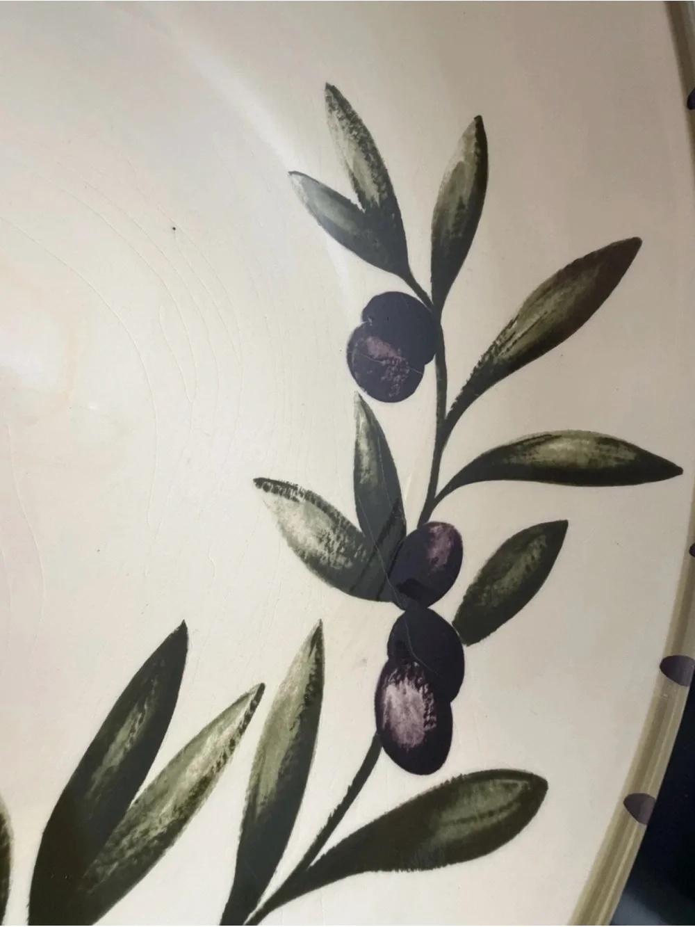 Williams Sonoma Liguria Black Olive 13